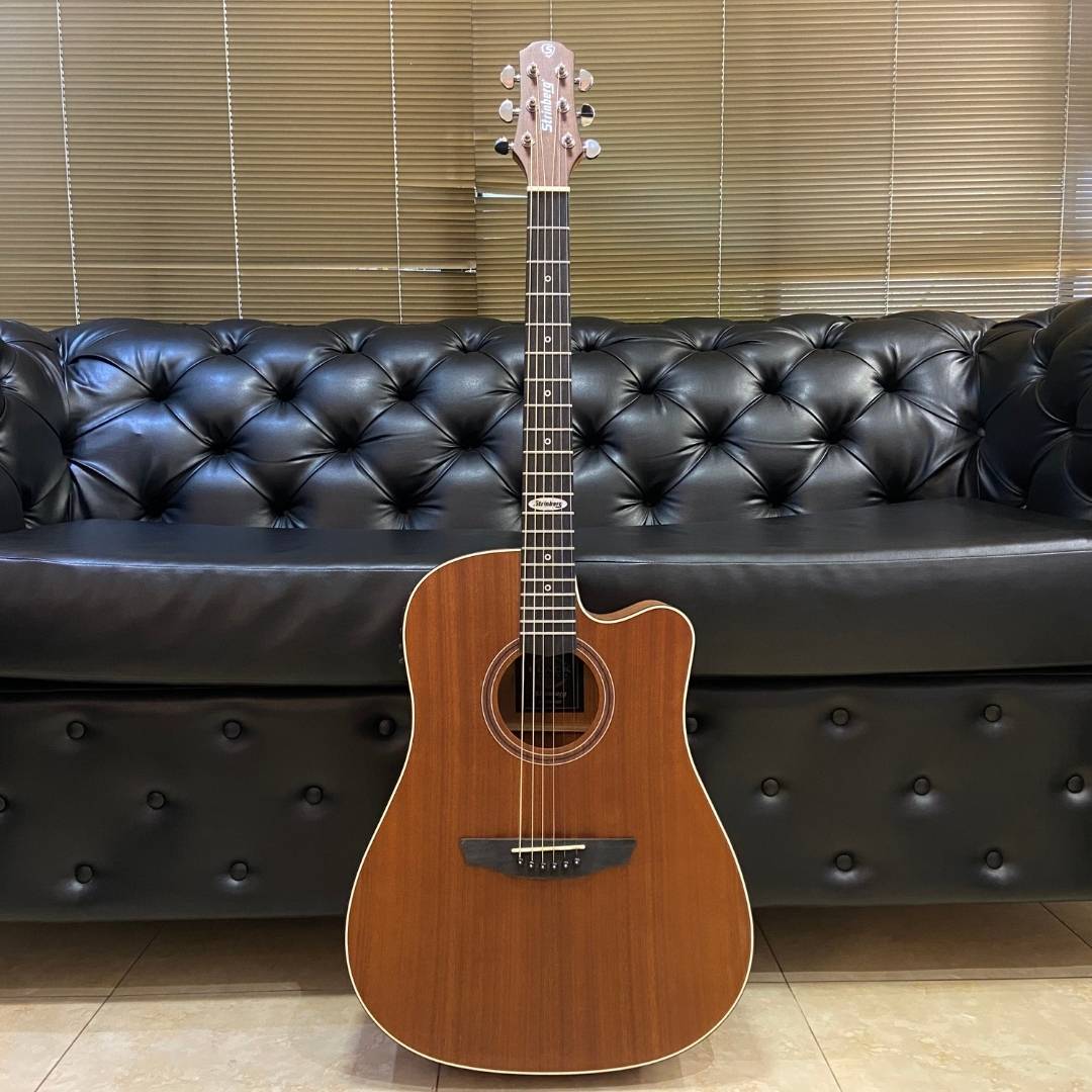 STRINBERG VIOLAO BLACK SD200C MGS