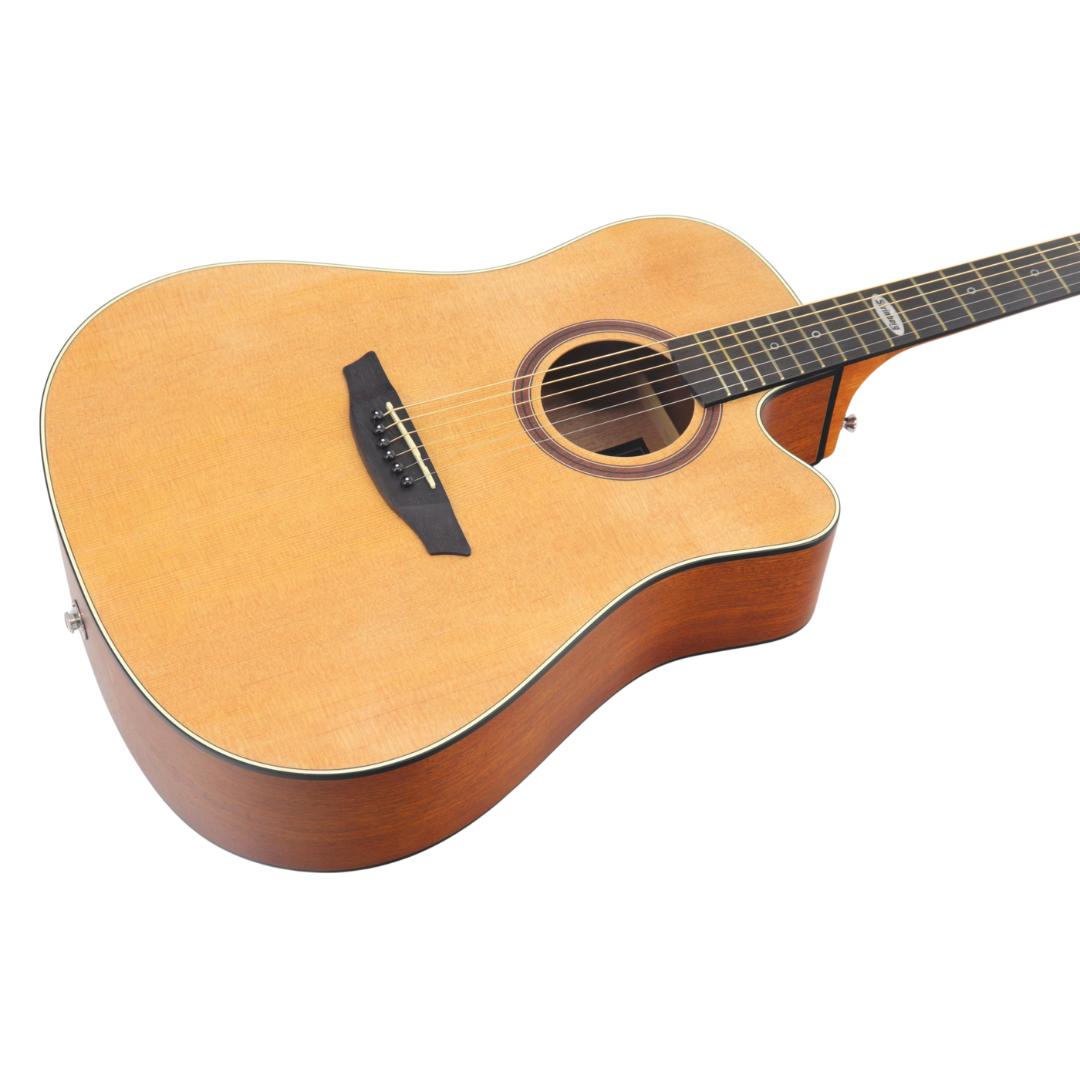 STRINBERG VIOLAO BLACK SD200C NS