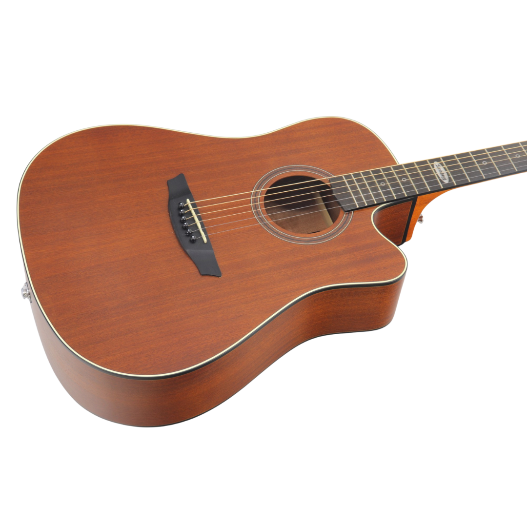 STRINBERG VIOLAO BLACK SD200C MGS