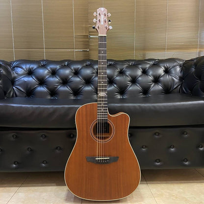 STRINBERG VIOLAO BLACK SD200C MGS